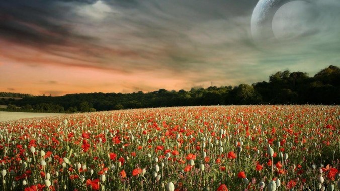 导师给了1.4W要我给工作室买个主机,是整机还是自己配?